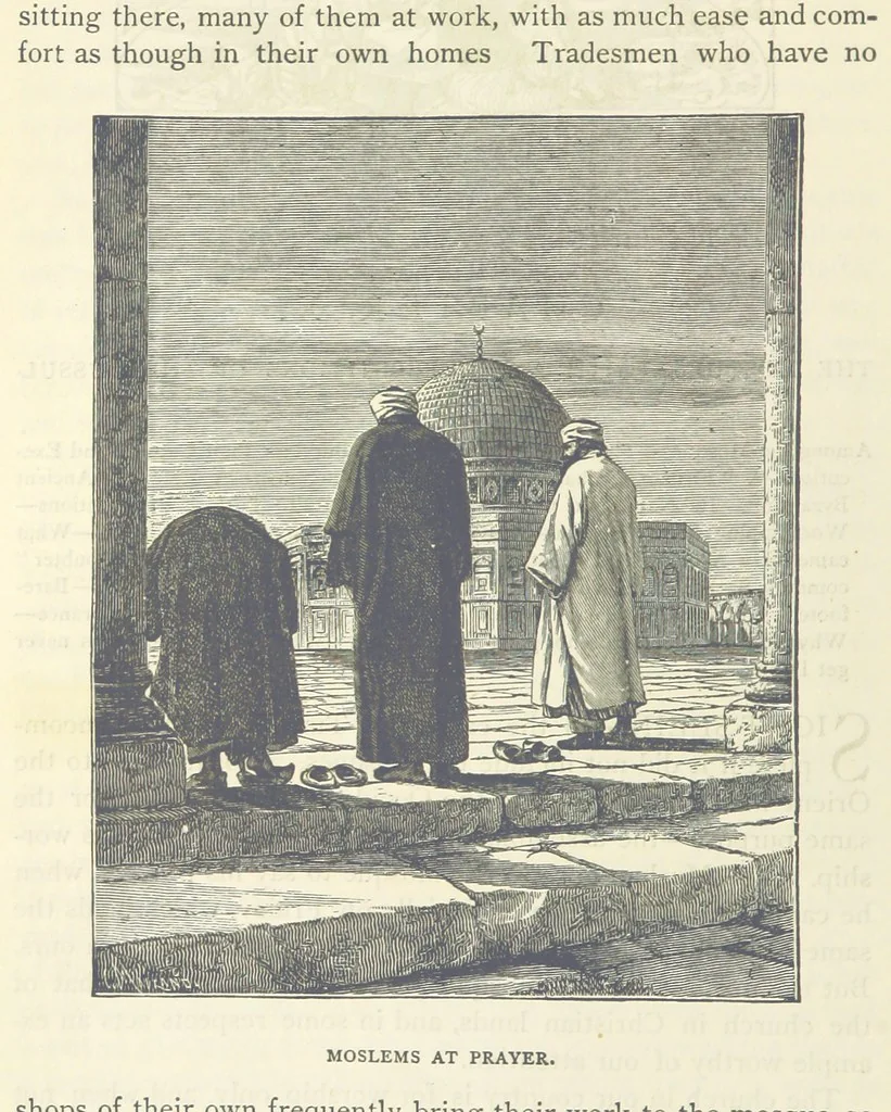 An illustration from Backsheesh! or, Life and Adventures in the Orient. With descriptive and humorous sketches. ... With ... illustrations, etc, 1875, leaf 168