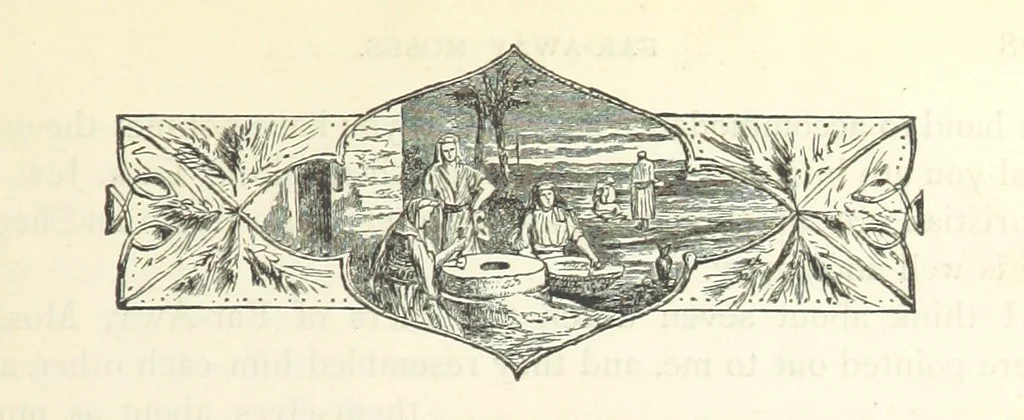 An illustration from Backsheesh! or, Life and Adventures in the Orient. With descriptive and humorous sketches. ... With ... illustrations, etc, 1875, leaf 191