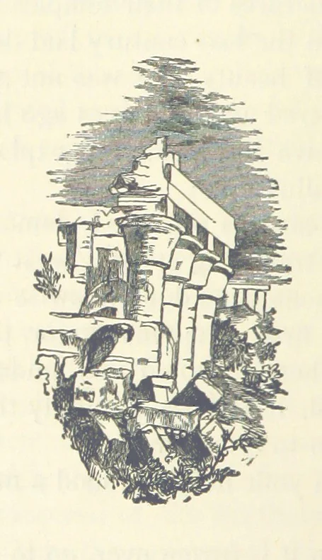 An illustration from Backsheesh! or, Life and Adventures in the Orient. With descriptive and humorous sketches. ... With ... illustrations, etc, 1875, leaf 226