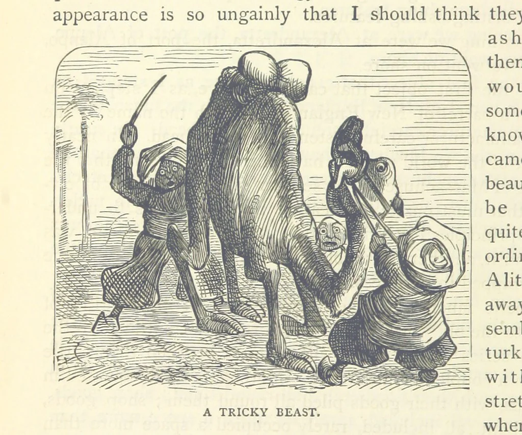 An illustration from Backsheesh! or, Life and Adventures in the Orient. With descriptive and humorous sketches. ... With ... illustrations, etc, 1875, leaf 268