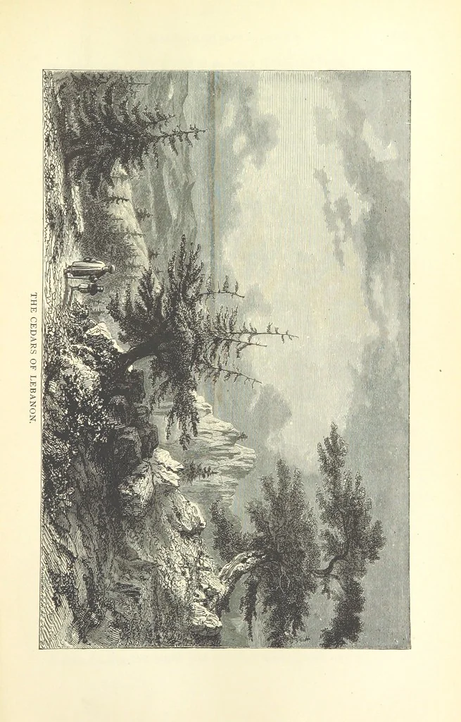 An illustration from Backsheesh! or, Life and Adventures in the Orient. With descriptive and humorous sketches. ... With ... illustrations, etc, 1875, leaf 279
