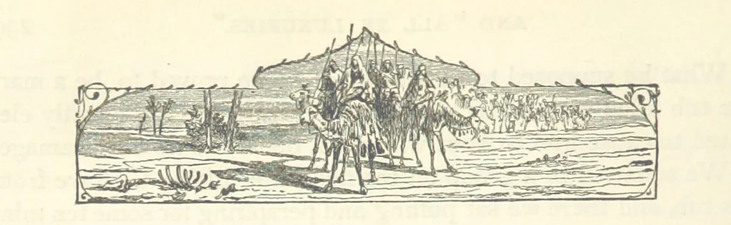 An illustration from Backsheesh! or, Life and Adventures in the Orient. With descriptive and humorous sketches. ... With ... illustrations, etc, 1875, leaf 314