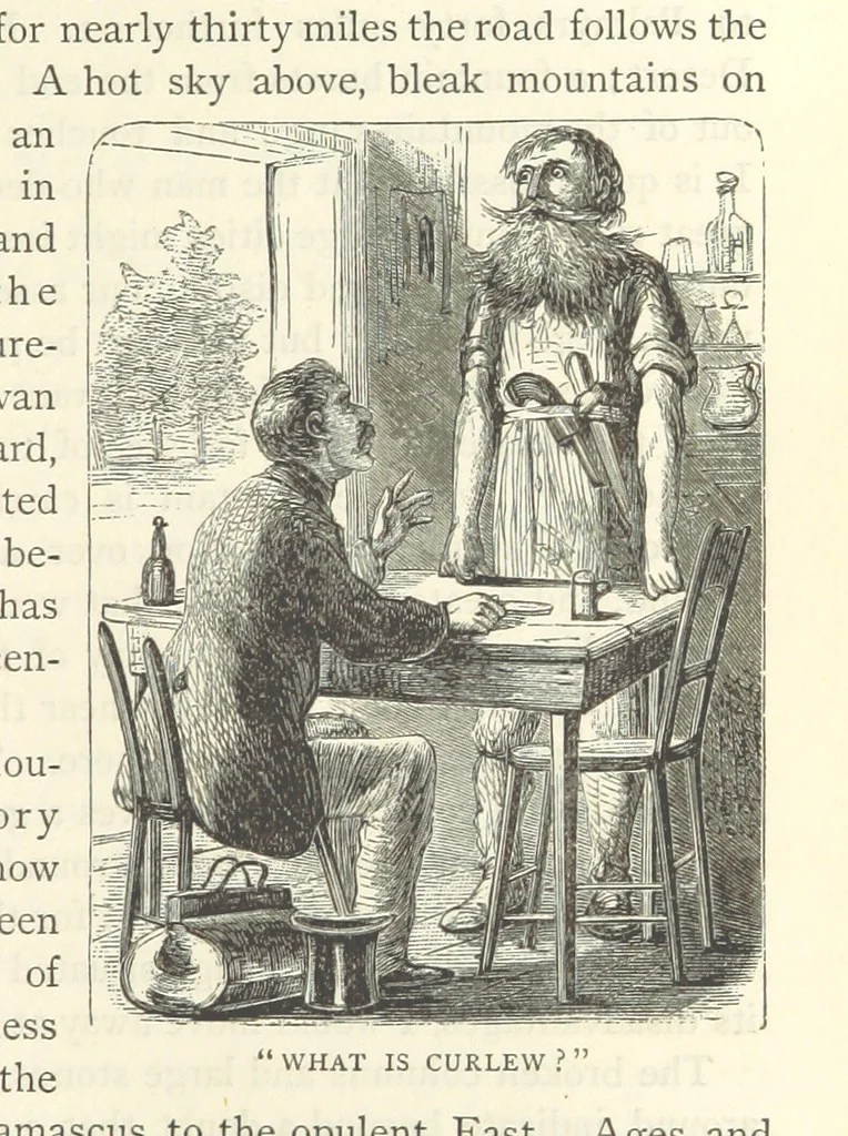 An illustration from Backsheesh! or, Life and Adventures in the Orient. With descriptive and humorous sketches. ... With ... illustrations, etc, 1875, leaf 319