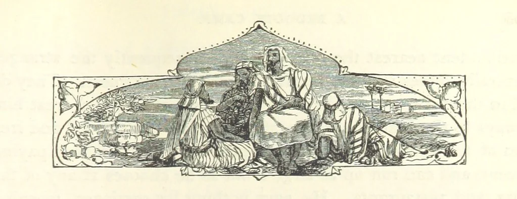 An illustration from Backsheesh! or, Life and Adventures in the Orient. With descriptive and humorous sketches. ... With ... illustrations, etc, 1875, leaf 321