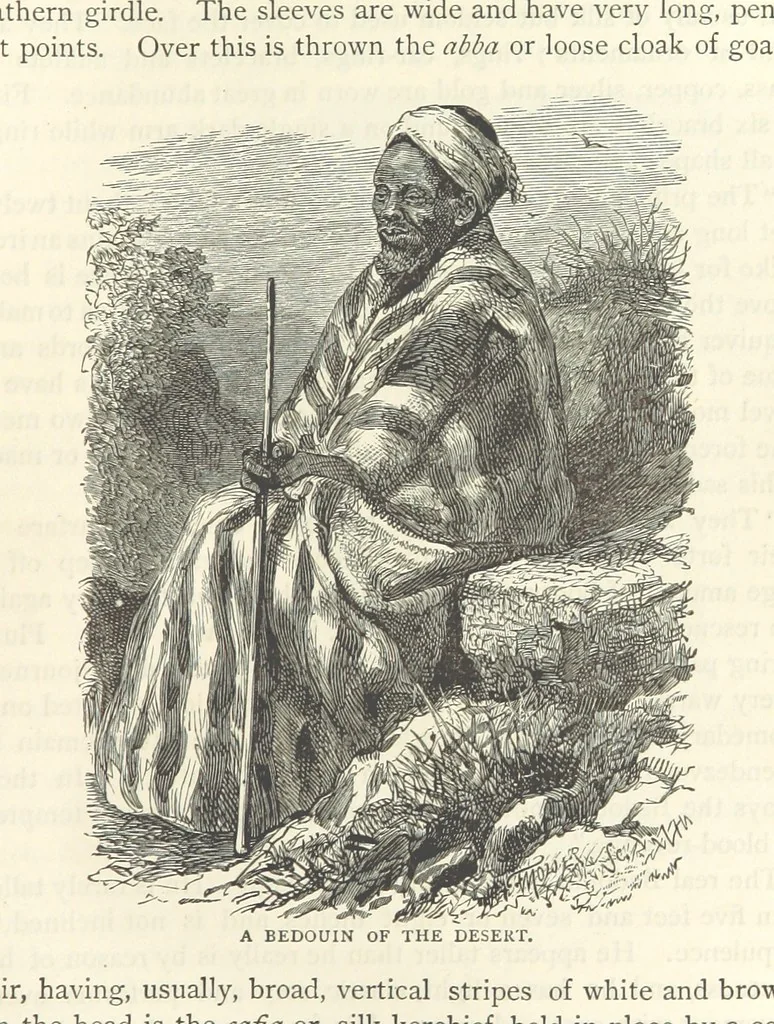 An illustration from Backsheesh! or, Life and Adventures in the Orient. With descriptive and humorous sketches. ... With ... illustrations, etc, 1875, leaf 323