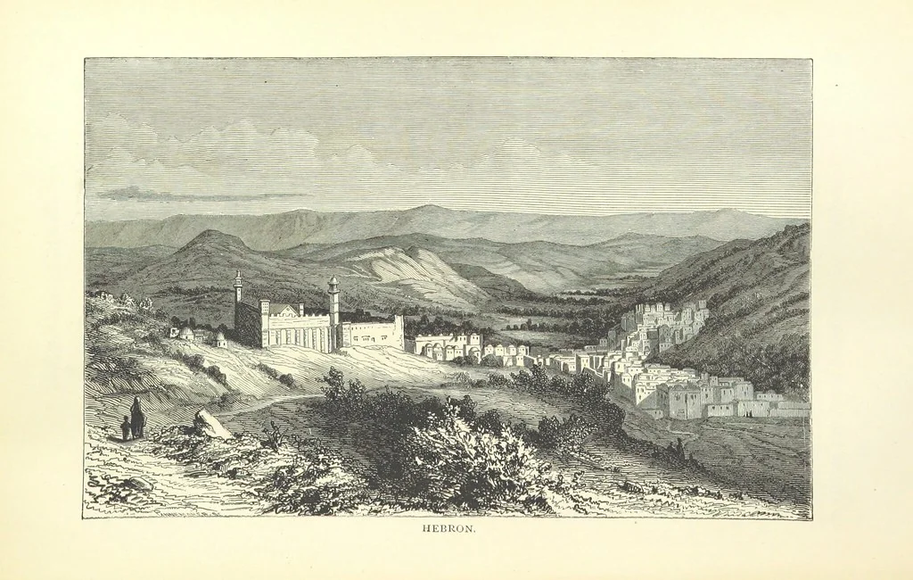 An illustration from Backsheesh! or, Life and Adventures in the Orient. With descriptive and humorous sketches. ... With ... illustrations, etc, 1875, leaf 333