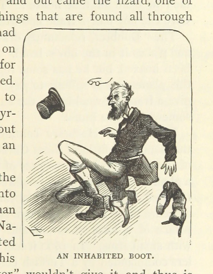 An illustration from Backsheesh! or, Life and Adventures in the Orient. With descriptive and humorous sketches. ... With ... illustrations, etc, 1875, leaf 341