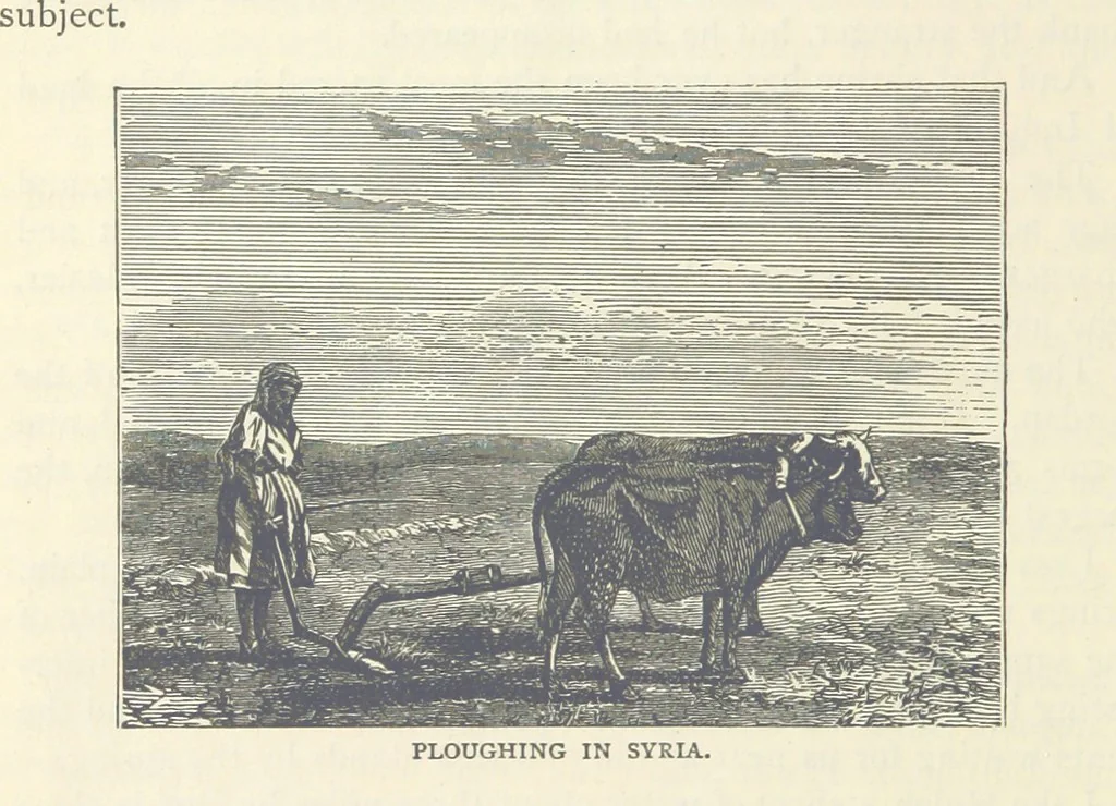 An illustration from Backsheesh! or, Life and Adventures in the Orient. With descriptive and humorous sketches. ... With ... illustrations, etc, 1875, leaf 348
