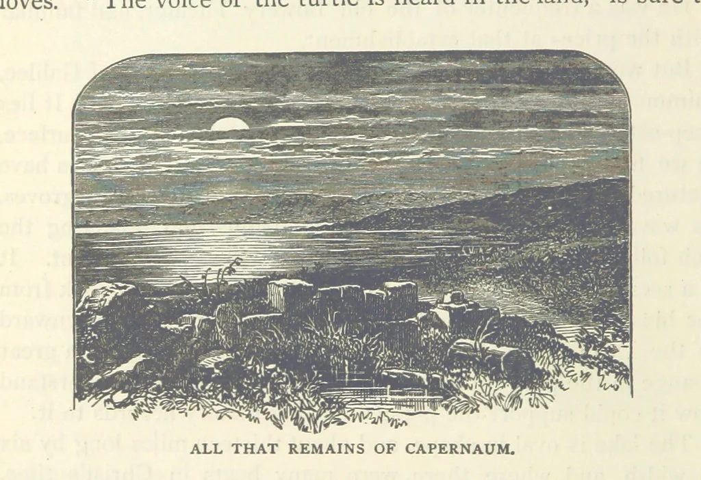 An illustration from Backsheesh! or, Life and Adventures in the Orient. With descriptive and humorous sketches. ... With ... illustrations, etc, 1875, leaf 350