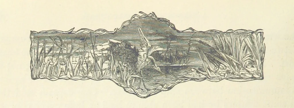 An illustration from Backsheesh! or, Life and Adventures in the Orient. With descriptive and humorous sketches. ... With ... illustrations, etc, 1875, leaf 386