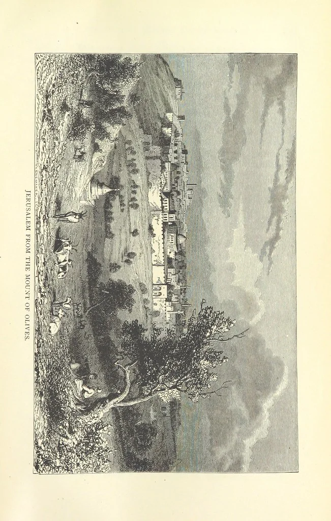 An illustration from Backsheesh! or, Life and Adventures in the Orient. With descriptive and humorous sketches. ... With ... illustrations, etc, 1875, leaf 393