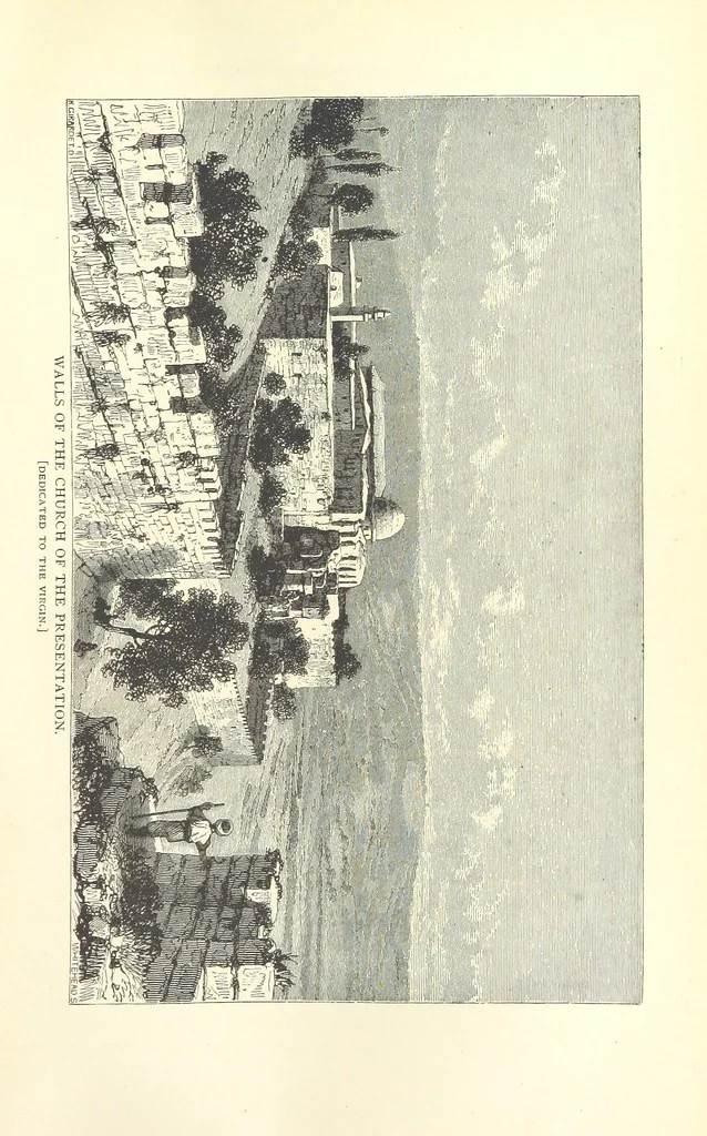 An illustration from Backsheesh! or, Life and Adventures in the Orient. With descriptive and humorous sketches. ... With ... illustrations, etc, 1875, leaf 411