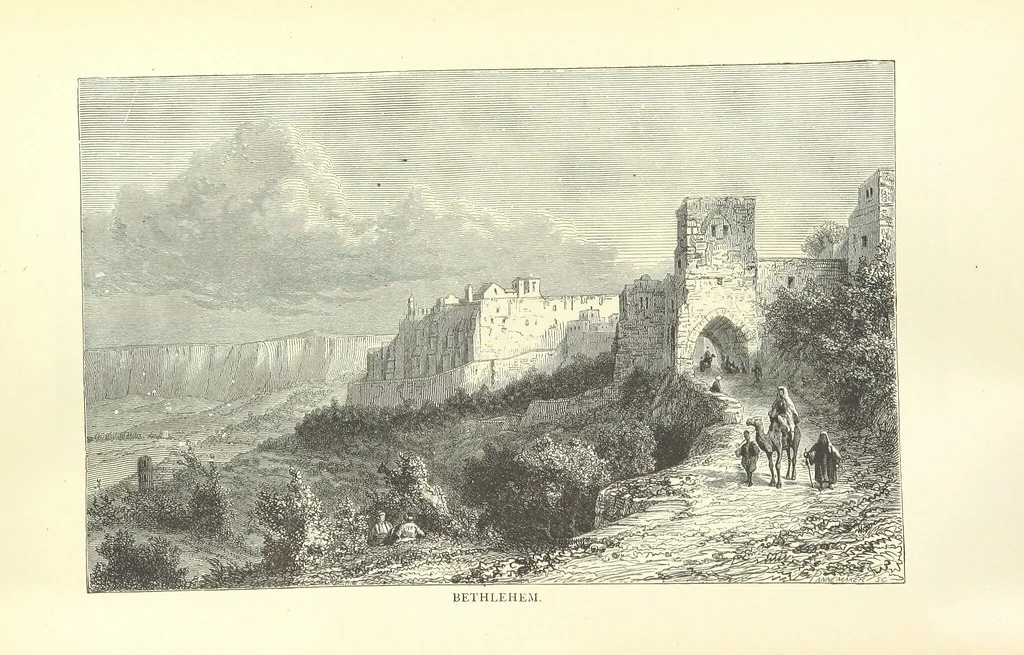 An illustration from Backsheesh! or, Life and Adventures in the Orient. With descriptive and humorous sketches. ... With ... illustrations, etc, 1875, leaf 415