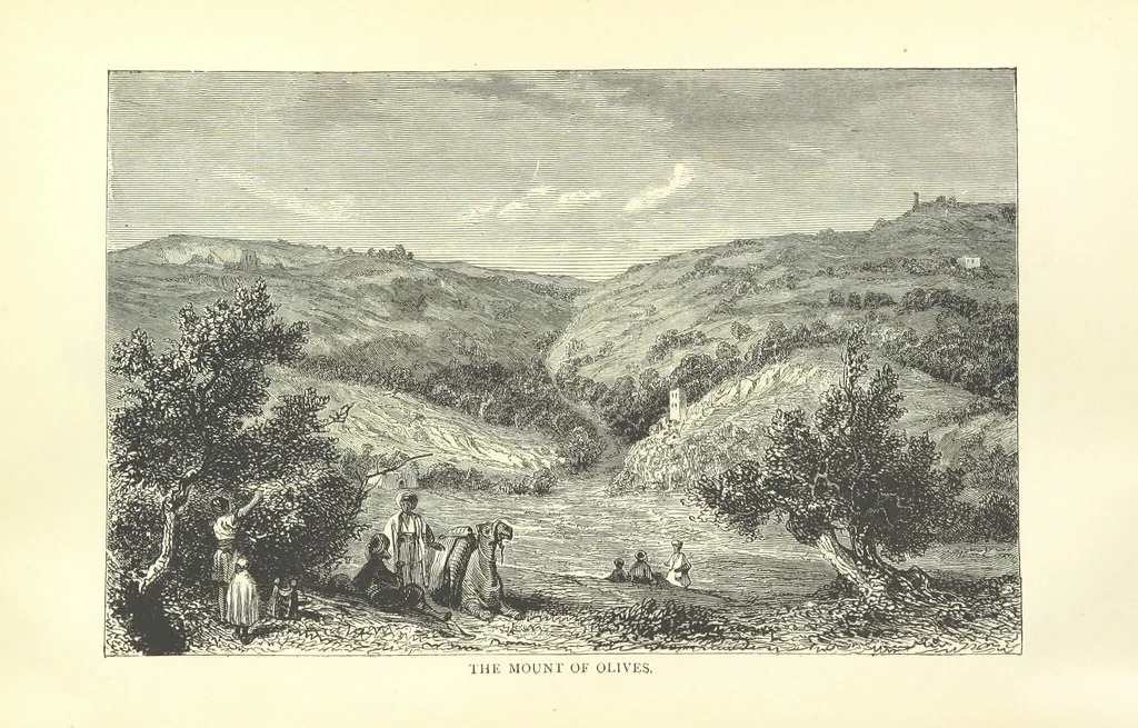 An illustration from Backsheesh! or, Life and Adventures in the Orient. With descriptive and humorous sketches. ... With ... illustrations, etc, 1875, leaf 439