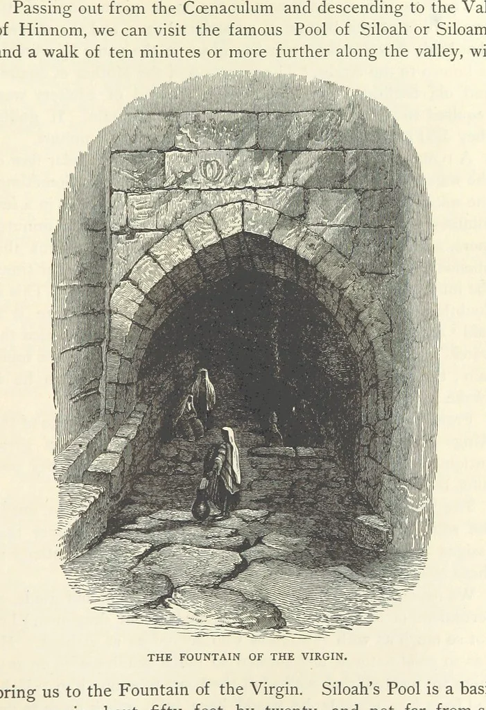 An illustration from Backsheesh! or, Life and Adventures in the Orient. With descriptive and humorous sketches. ... With ... illustrations, etc, 1875, leaf 449
