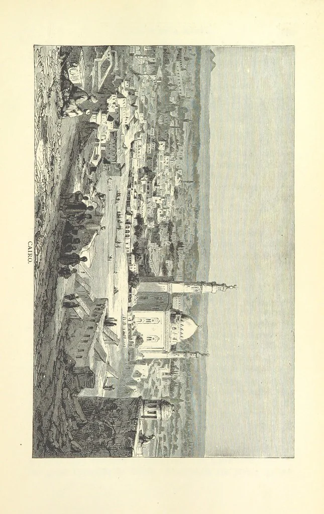 An illustration from Backsheesh! or, Life and Adventures in the Orient. With descriptive and humorous sketches. ... With ... illustrations, etc, 1875, leaf 465