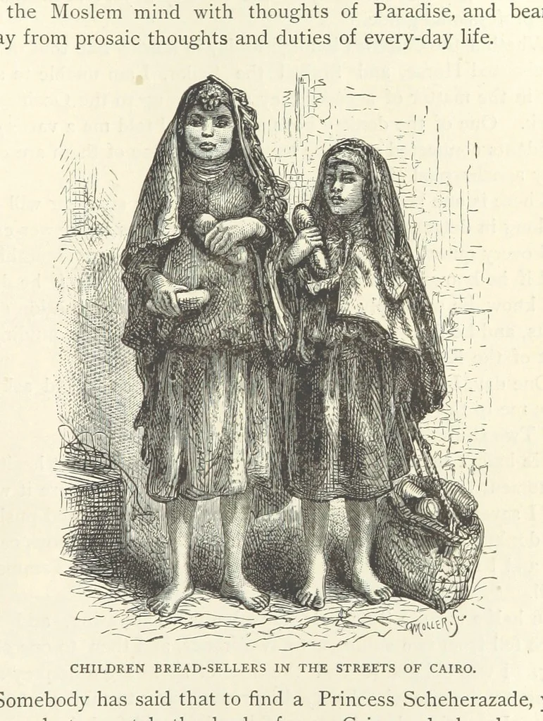 An illustration from Backsheesh! or, Life and Adventures in the Orient. With descriptive and humorous sketches. ... With ... illustrations, etc, 1875, leaf 491