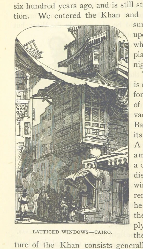 An illustration from Backsheesh! or, Life and Adventures in the Orient. With descriptive and humorous sketches. ... With ... illustrations, etc, 1875, leaf 498