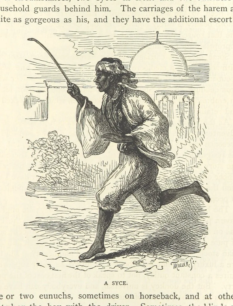 An illustration from Backsheesh! or, Life and Adventures in the Orient. With descriptive and humorous sketches. ... With ... illustrations, etc, 1875, leaf 507