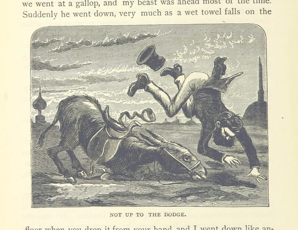 An illustration from Backsheesh! or, Life and Adventures in the Orient. With descriptive and humorous sketches. ... With ... illustrations, etc, 1875, leaf 512