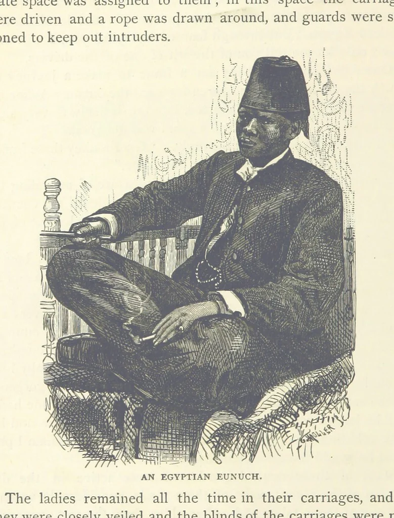 An illustration from Backsheesh! or, Life and Adventures in the Orient. With descriptive and humorous sketches. ... With ... illustrations, etc, 1875, leaf 514