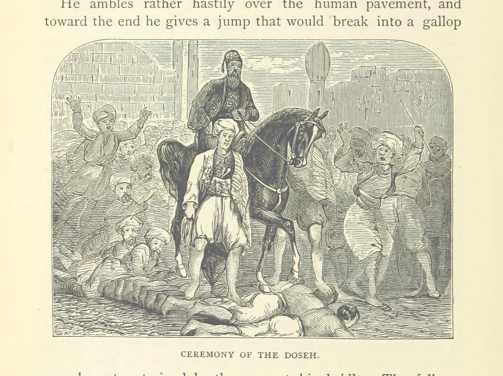 An illustration from Backsheesh! or, Life and Adventures in the Orient. With descriptive and humorous sketches. ... With ... illustrations, etc, 1875, leaf 528