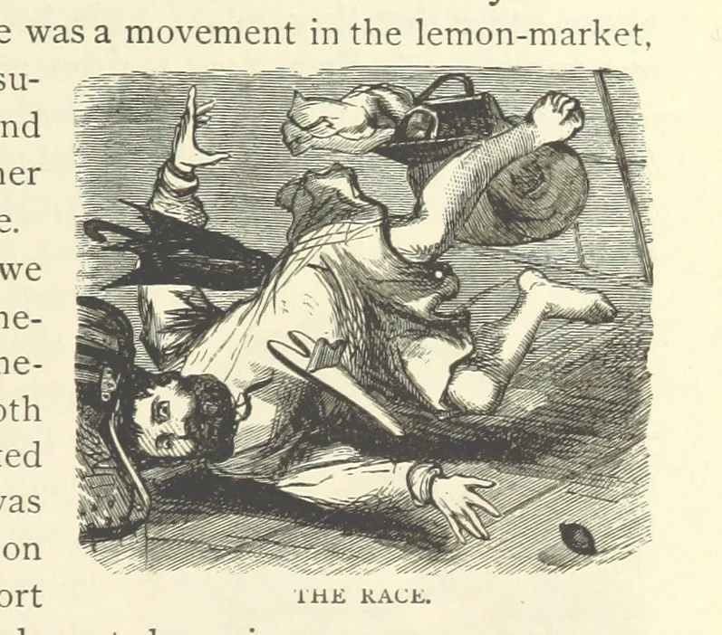 An illustration from Backsheesh! or, Life and Adventures in the Orient. With descriptive and humorous sketches. ... With ... illustrations, etc, 1875, leaf 53