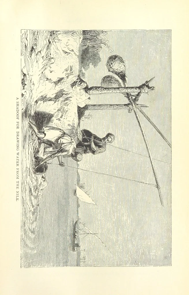 An illustration from Backsheesh! or, Life and Adventures in the Orient. With descriptive and humorous sketches. ... With ... illustrations, etc, 1875, leaf 533