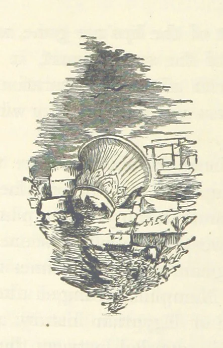An illustration from Backsheesh! or, Life and Adventures in the Orient. With descriptive and humorous sketches. ... With ... illustrations, etc, 1875, leaf 546