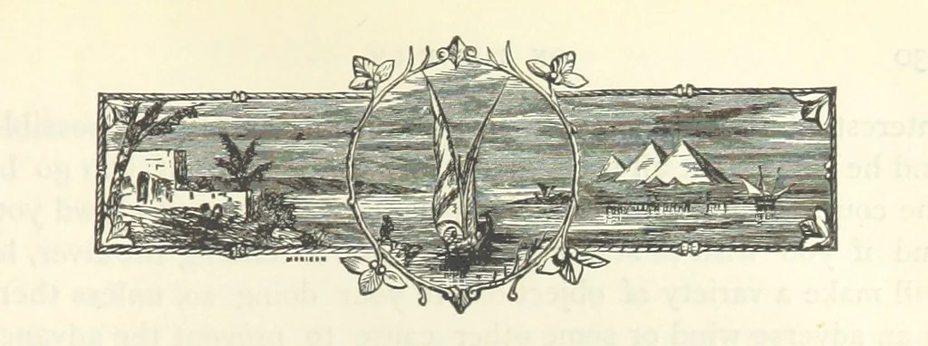 An illustration from Backsheesh! or, Life and Adventures in the Orient. With descriptive and humorous sketches. ... With ... illustrations, etc, 1875, leaf 547