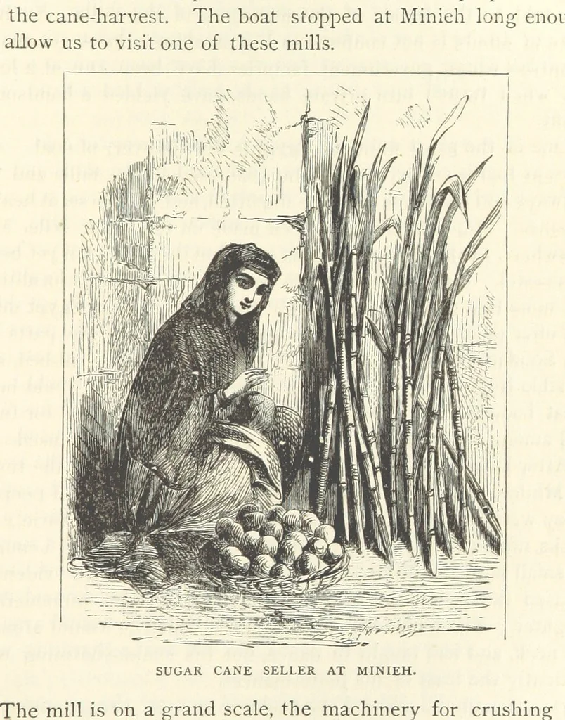 An illustration from Backsheesh! or, Life and Adventures in the Orient. With descriptive and humorous sketches. ... With ... illustrations, etc, 1875, leaf 567