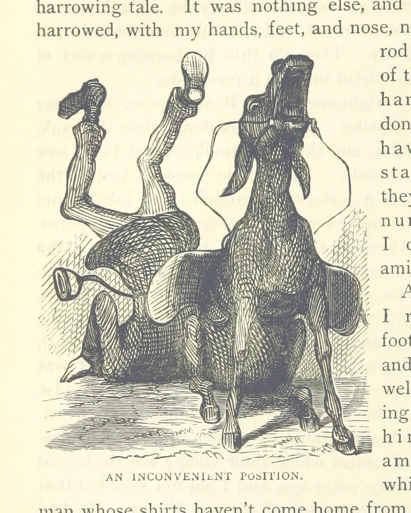 An illustration from Backsheesh! or, Life and Adventures in the Orient. With descriptive and humorous sketches. ... With ... illustrations, etc, 1875, leaf 570