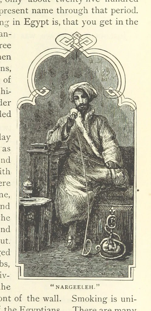 An illustration from Backsheesh! or, Life and Adventures in the Orient. With descriptive and humorous sketches. ... With ... illustrations, etc, 1875, leaf 575