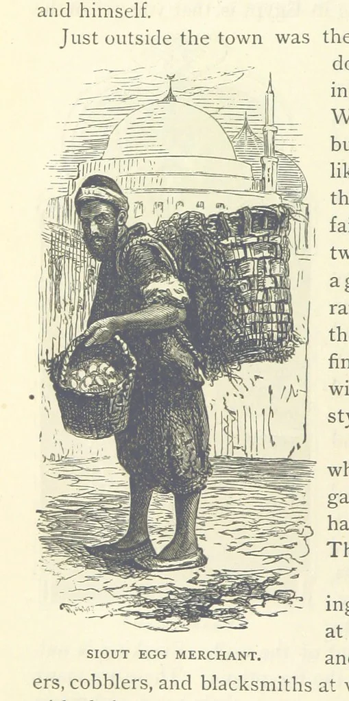 An illustration from Backsheesh! or, Life and Adventures in the Orient. With descriptive and humorous sketches. ... With ... illustrations, etc, 1875, leaf 576