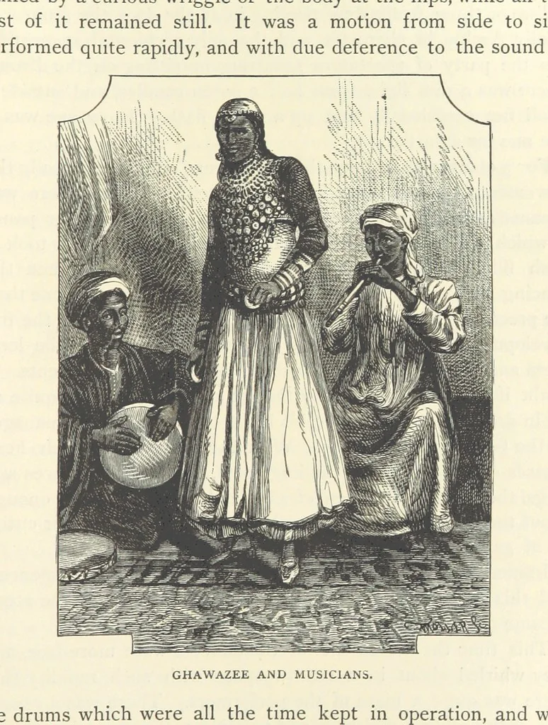 An illustration from Backsheesh! or, Life and Adventures in the Orient. With descriptive and humorous sketches. ... With ... illustrations, etc, 1875, leaf 589
