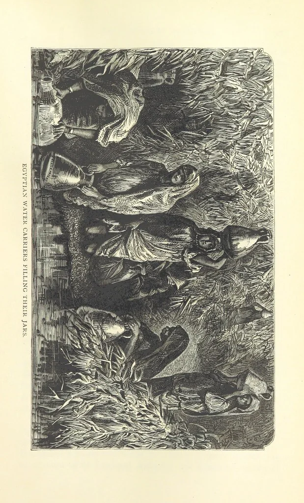An illustration from Backsheesh! or, Life and Adventures in the Orient. With descriptive and humorous sketches. ... With ... illustrations, etc, 1875, leaf 593