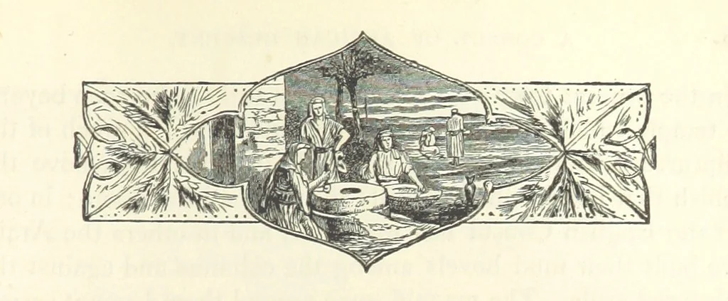 An illustration from Backsheesh! or, Life and Adventures in the Orient. With descriptive and humorous sketches. ... With ... illustrations, etc, 1875, leaf 603