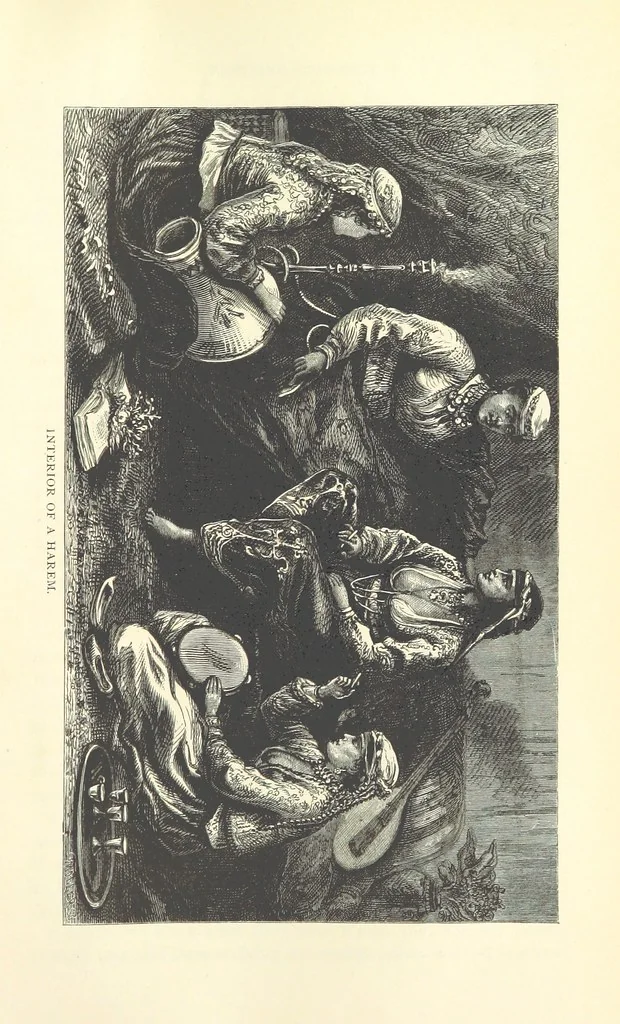 An illustration from Backsheesh! or, Life and Adventures in the Orient. With descriptive and humorous sketches. ... With ... illustrations, etc, 1875, leaf 619