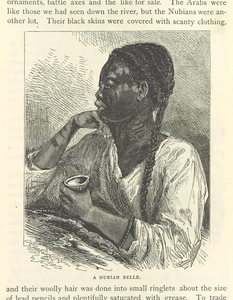 An illustration from Backsheesh! or, Life and Adventures in the Orient. With descriptive and humorous sketches. ... With ... illustrations, etc, 1875, leaf 627