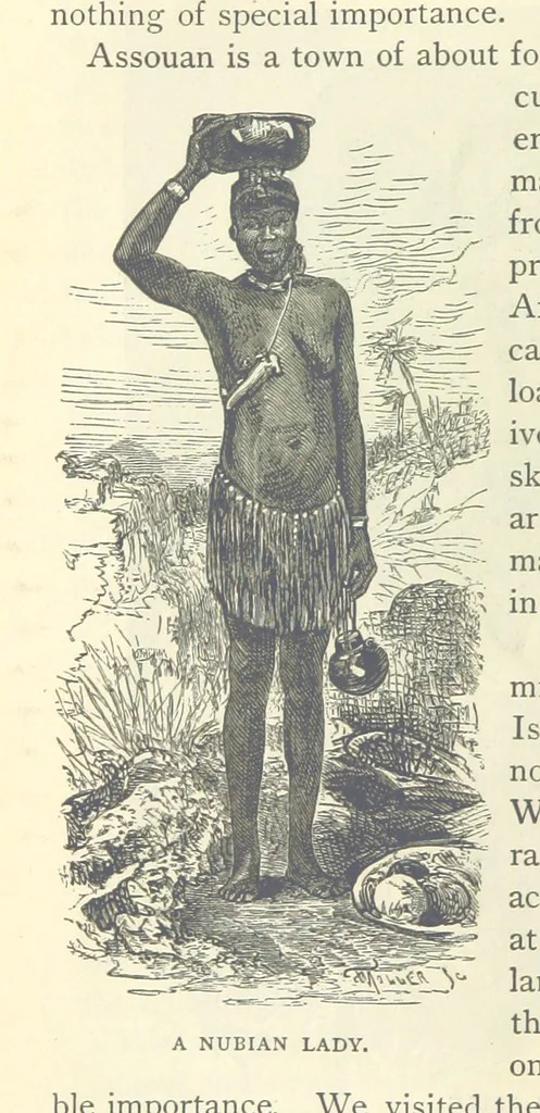 An illustration from Backsheesh! or, Life and Adventures in the Orient. With descriptive and humorous sketches. ... With ... illustrations, etc, 1875, leaf 628