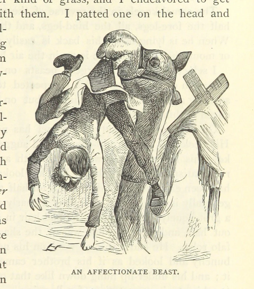 An illustration from Backsheesh! or, Life and Adventures in the Orient. With descriptive and humorous sketches. ... With ... illustrations, etc, 1875, leaf 633