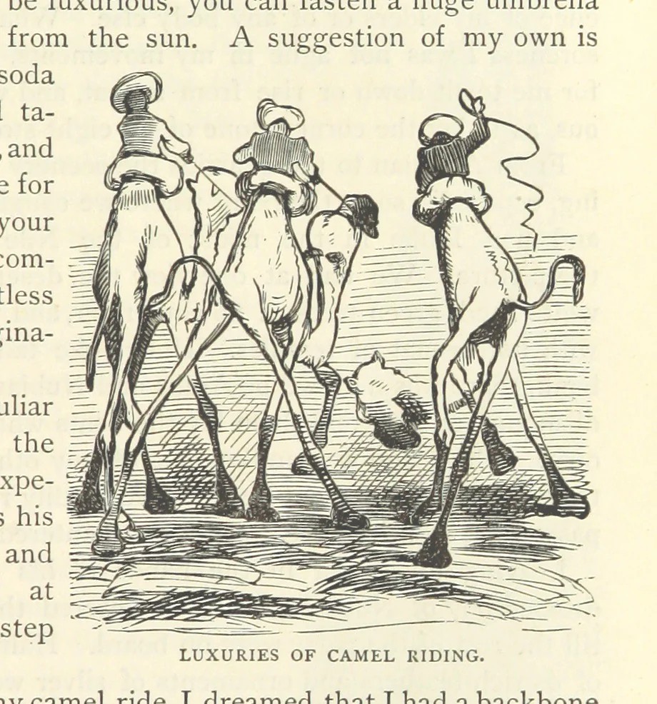 An illustration from Backsheesh! or, Life and Adventures in the Orient. With descriptive and humorous sketches. ... With ... illustrations, etc, 1875, leaf 635