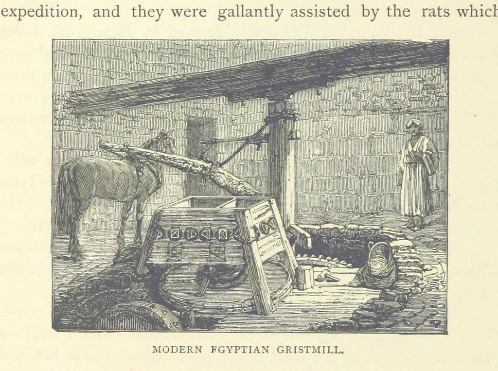 An illustration from Backsheesh! or, Life and Adventures in the Orient. With descriptive and humorous sketches. ... With ... illustrations, etc, 1875, leaf 650