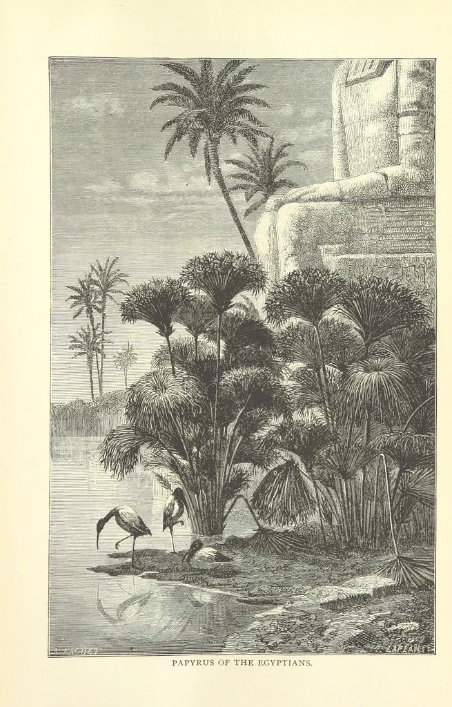 An illustration from Backsheesh! or, Life and Adventures in the Orient. With descriptive and humorous sketches. ... With ... illustrations, etc, 1875, leaf 653