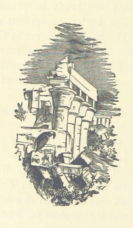 An illustration from Backsheesh! or, Life and Adventures in the Orient. With descriptive and humorous sketches. ... With ... illustrations, etc, 1875, leaf 656