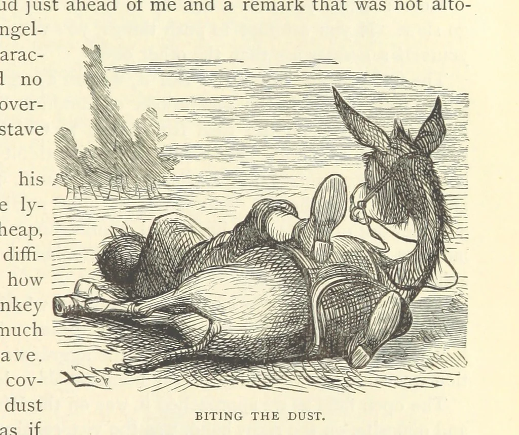 An illustration from Backsheesh! or, Life and Adventures in the Orient. With descriptive and humorous sketches. ... With ... illustrations, etc, 1875, leaf 661