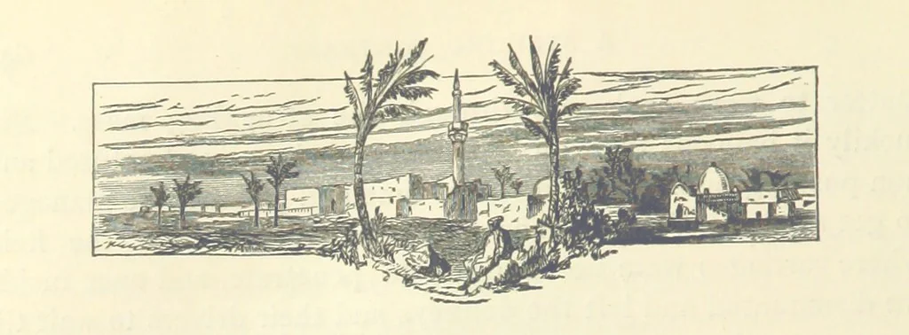 An illustration from Backsheesh! or, Life and Adventures in the Orient. With descriptive and humorous sketches. ... With ... illustrations, etc, 1875, leaf 664