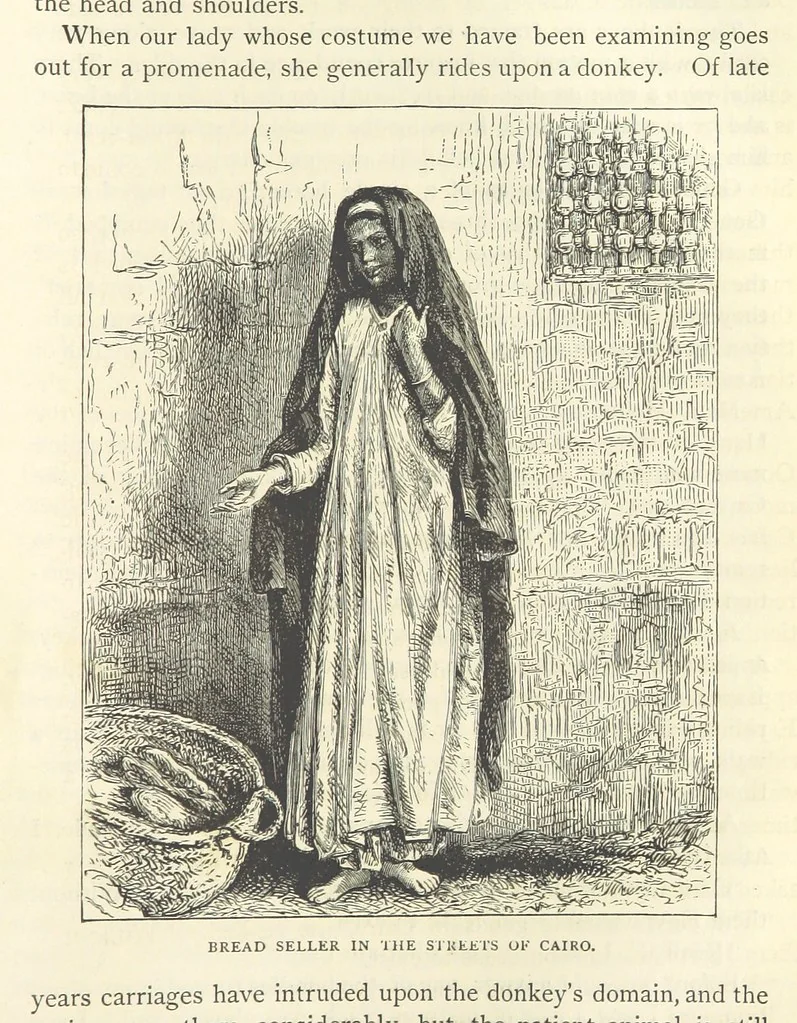 An illustration from Backsheesh! or, Life and Adventures in the Orient. With descriptive and humorous sketches. ... With ... illustrations, etc, 1875, leaf 679