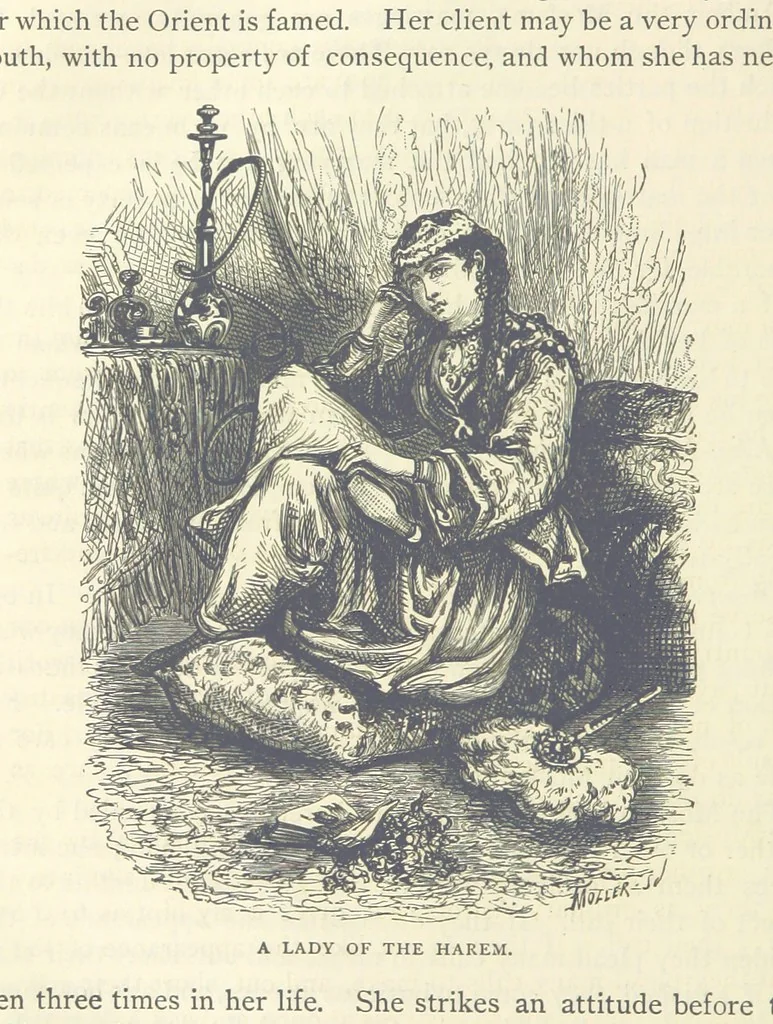 An illustration from Backsheesh! or, Life and Adventures in the Orient. With descriptive and humorous sketches. ... With ... illustrations, etc, 1875, leaf 682