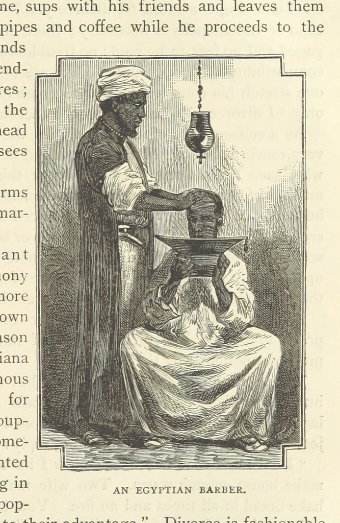 An illustration from Backsheesh! or, Life and Adventures in the Orient. With descriptive and humorous sketches. ... With ... illustrations, etc, 1875, leaf 685